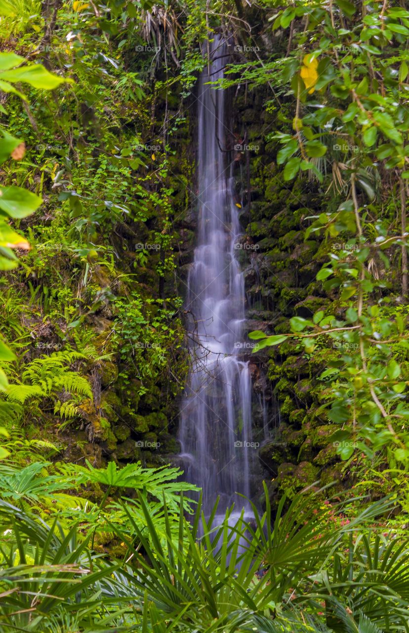Nature waterfalls
