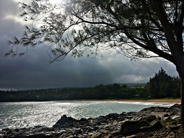 Stormy Day. Stormy Day