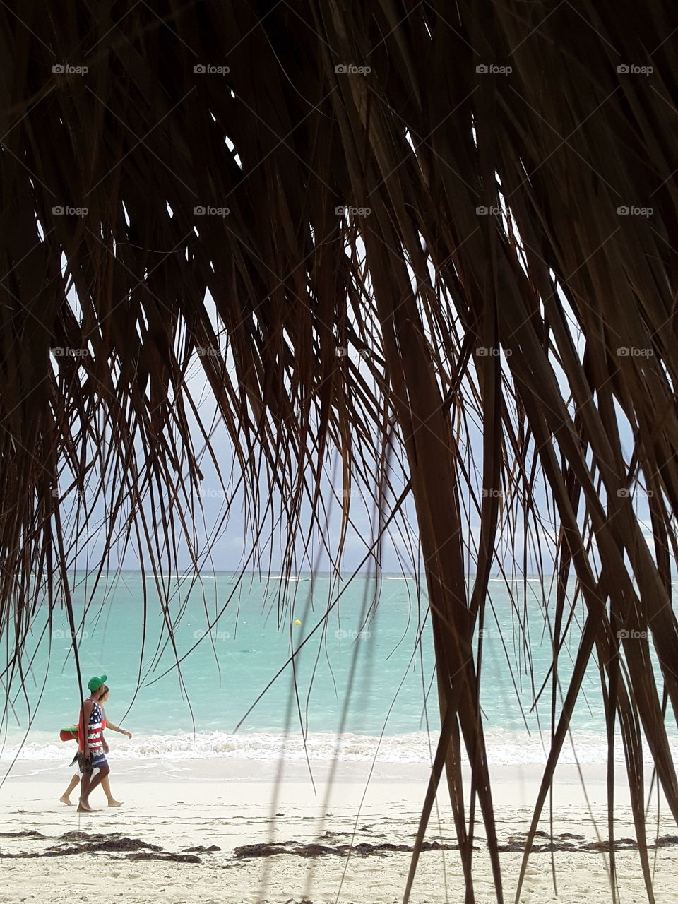 azure ocean passing tourists by beach palm leaf fungus