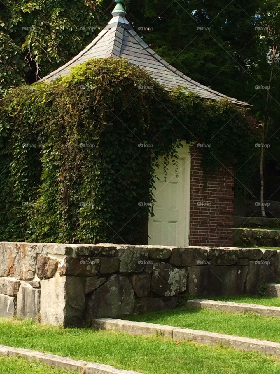 Ivy draped building in Camden Me
