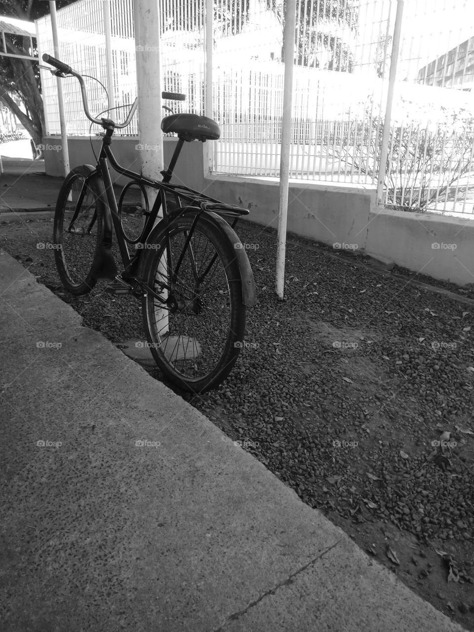 A bicycle by a bus station, black and white