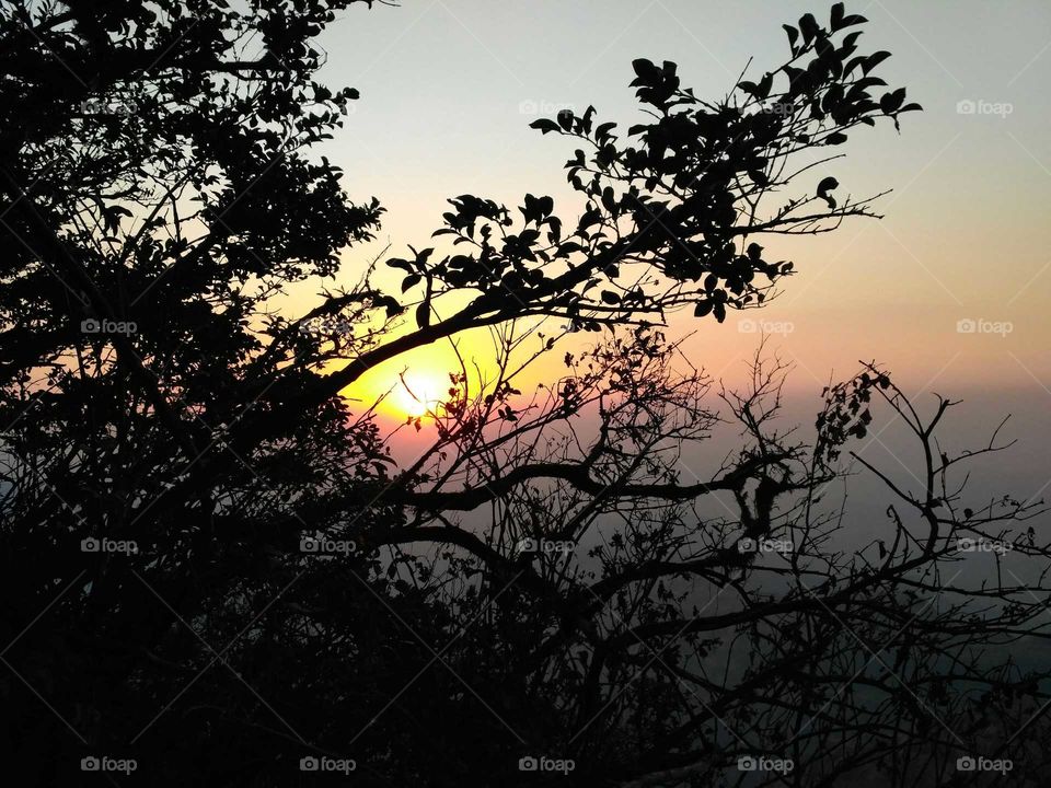 Sunset behind the trees in Mahabaleshwar