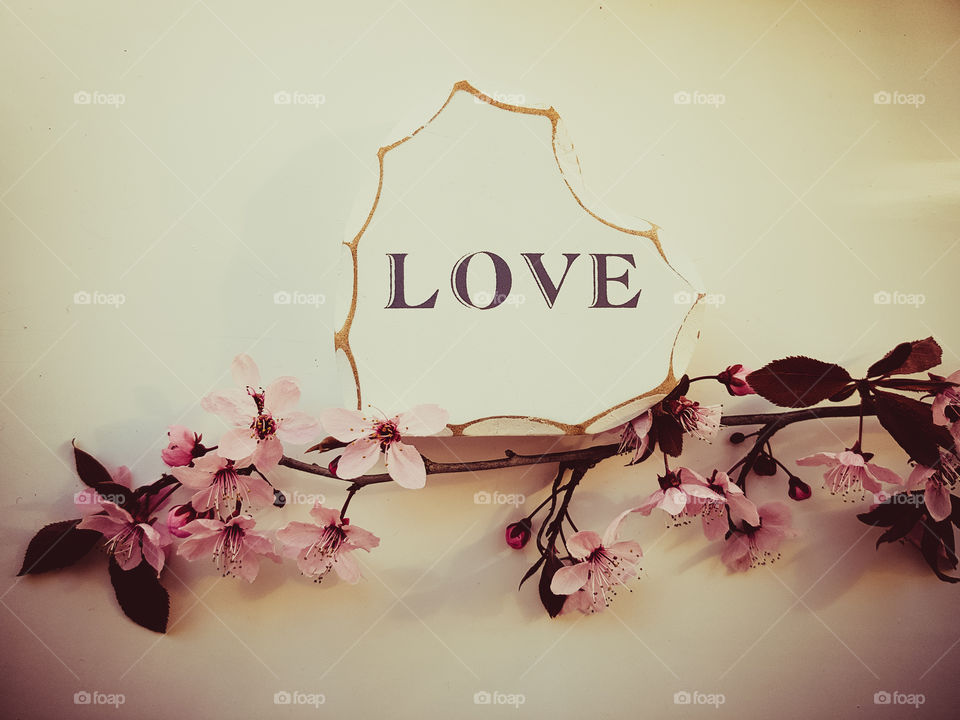 white wooden heart with the word LOVE wrote on it. Pink blossom tree flowers on white background.