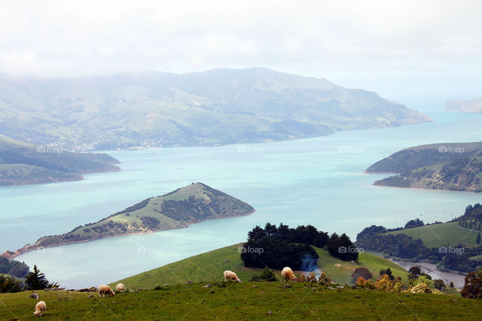 Iconic New Zealand 