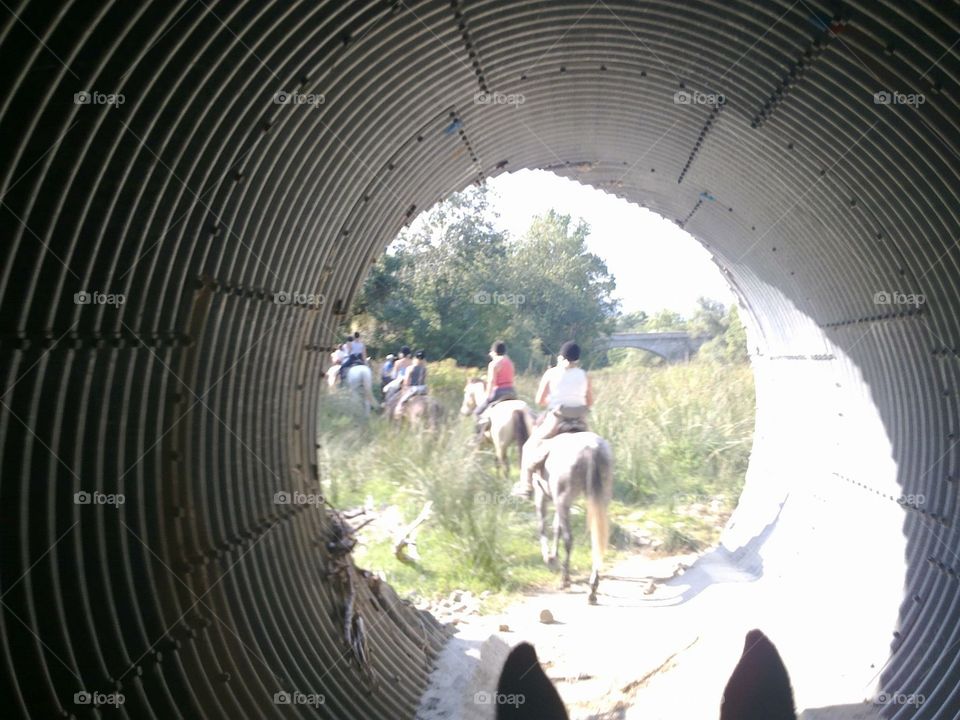 Horse riding Spain