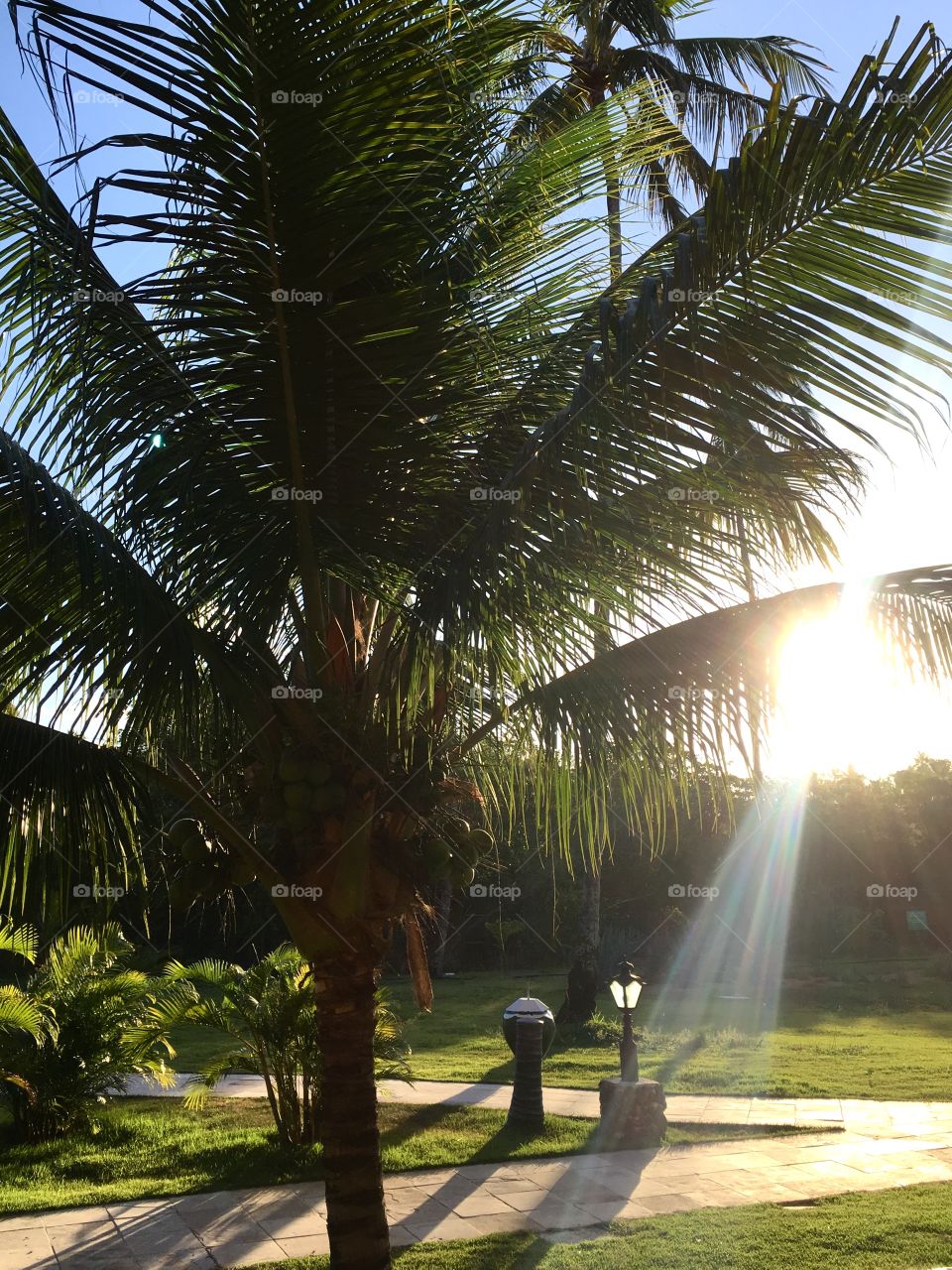 Passeio maravilhoso à cidade de Maragogi, um paraíso no estado de Alagoas, litoral do Nordeste do Brasil. O maravilhoso por do sol. 