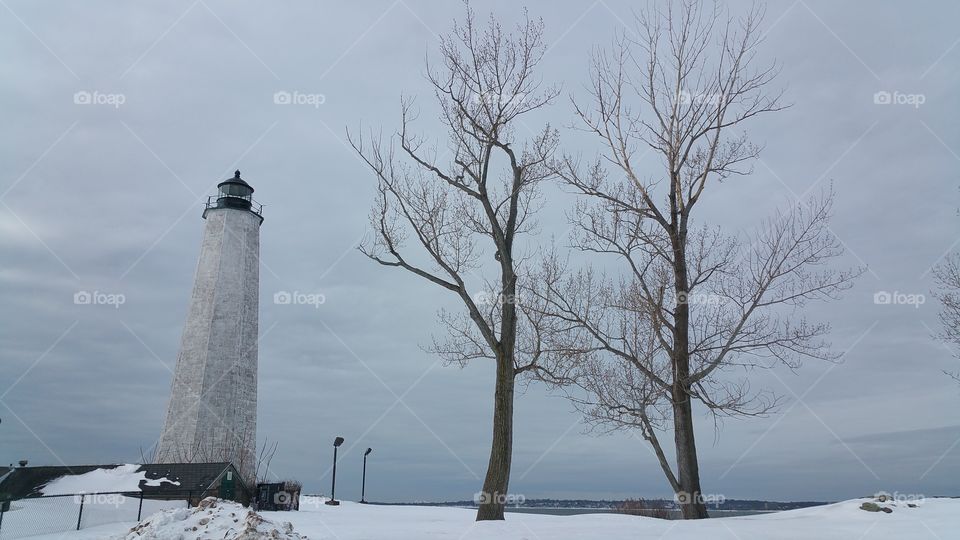 bare winter trees and lighthouse