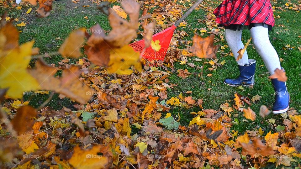 Raking leaves