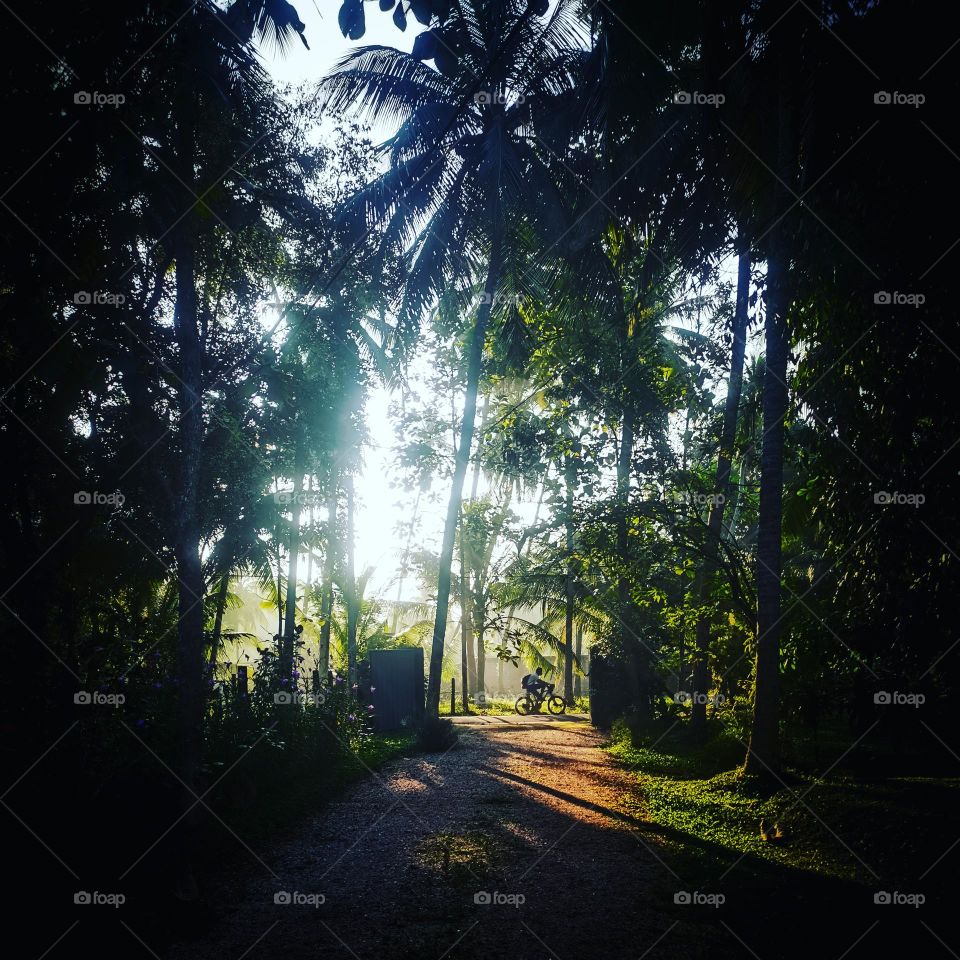 A beautiful morning with rays of sun