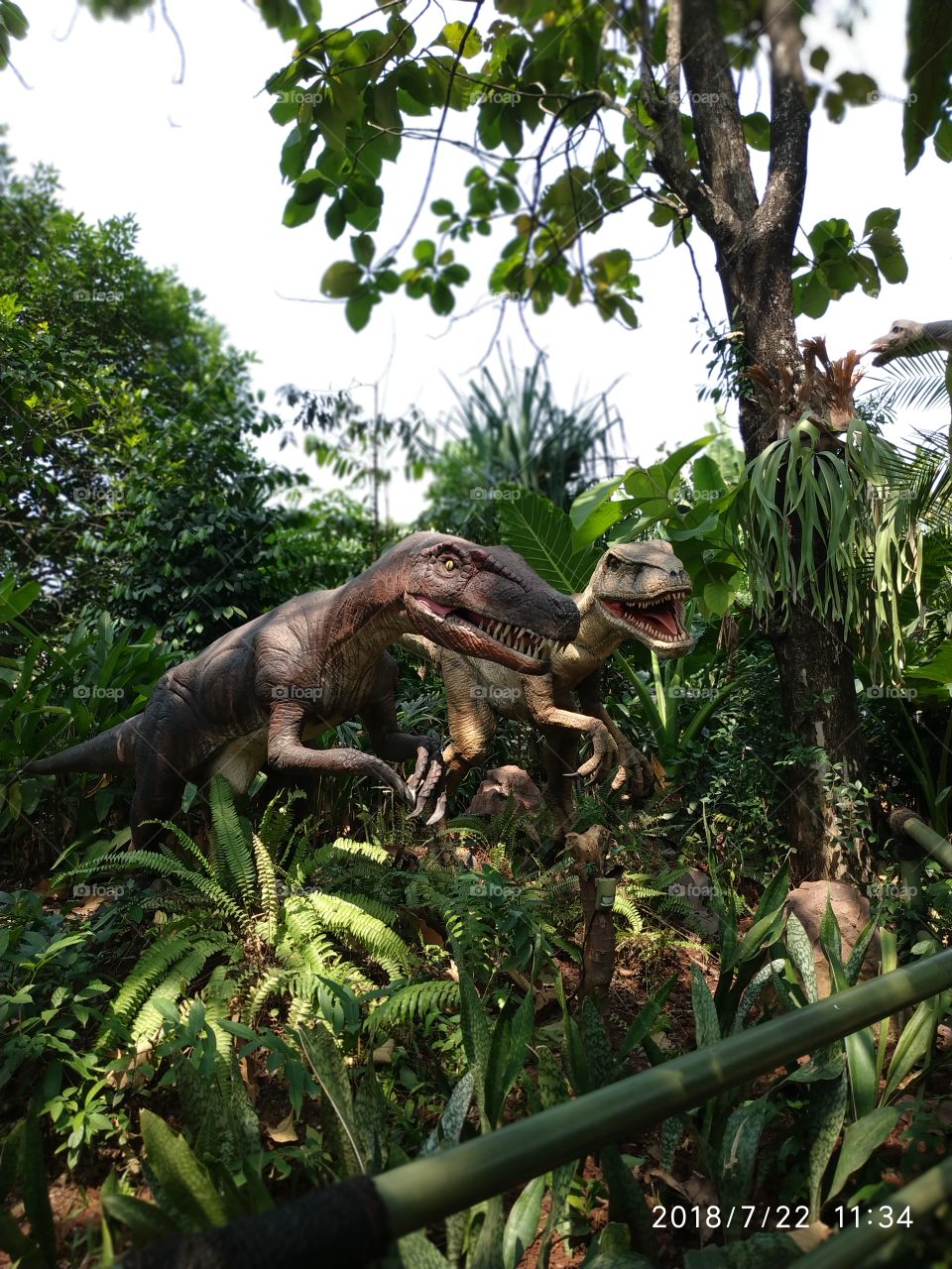 Dino velociraptor