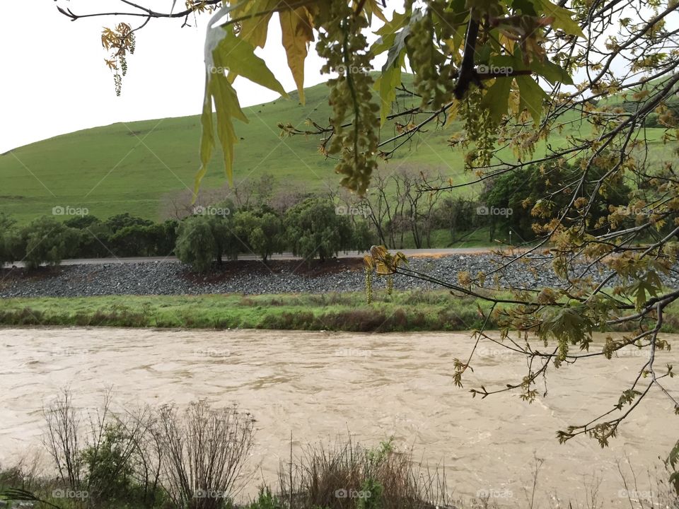 Creek swelling with rain water