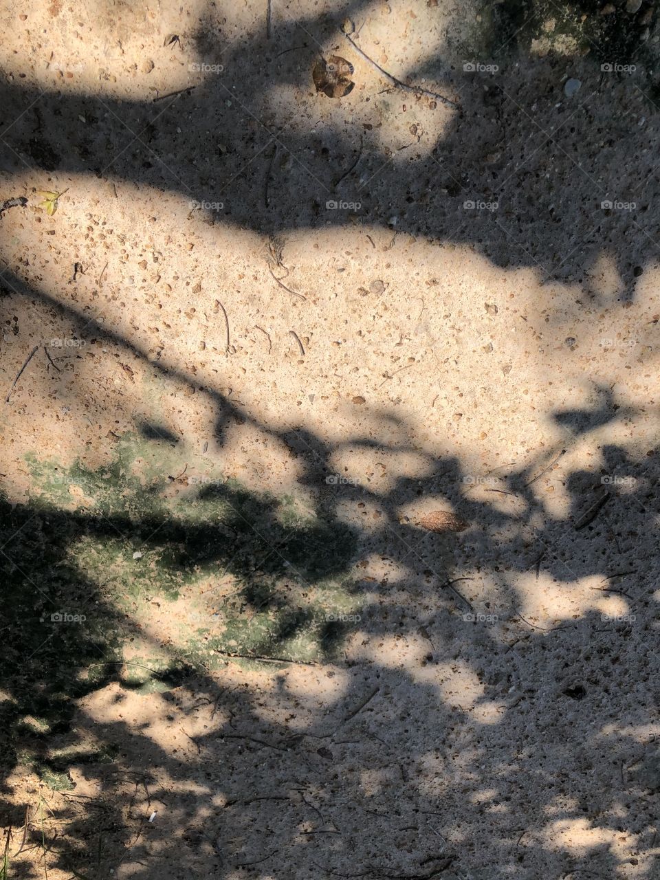 Shadow around us