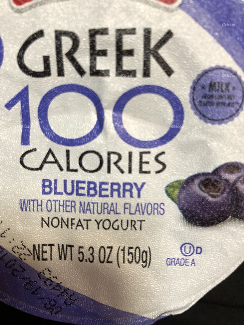 Greek Blueberry Yogurt