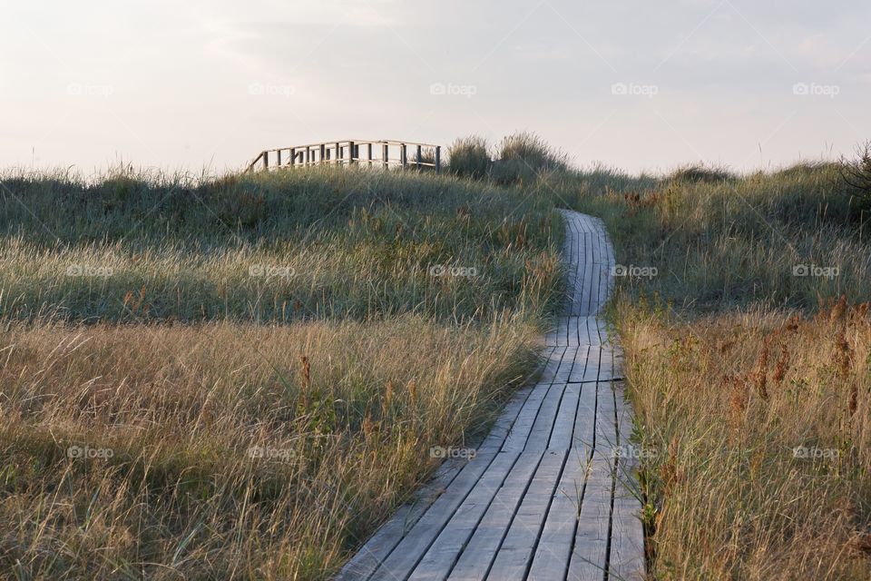 Wooden boardwalk in the grass leading to the ocean 