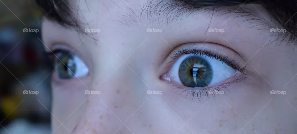 iris