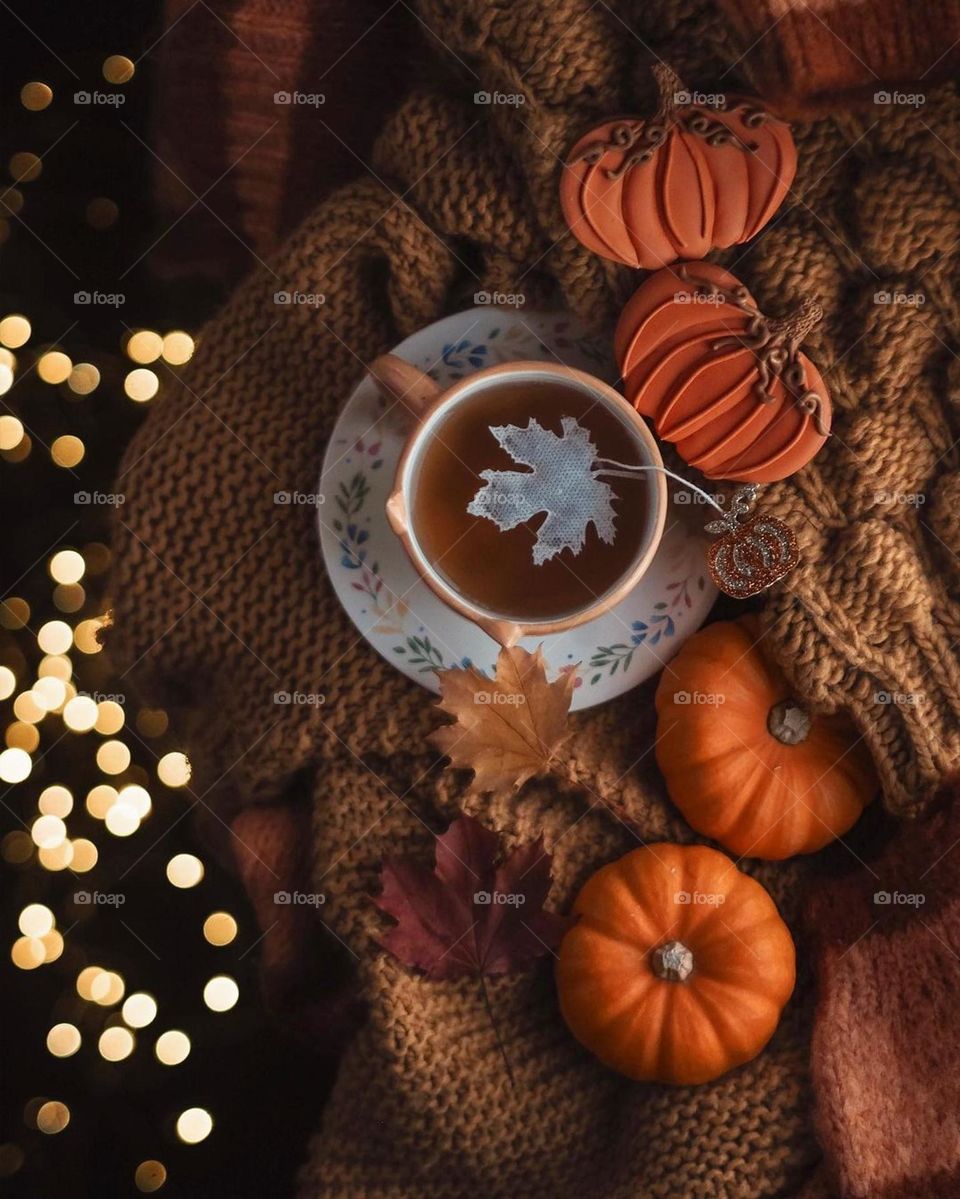 colors of autumn, nice composition, orange pumpkins