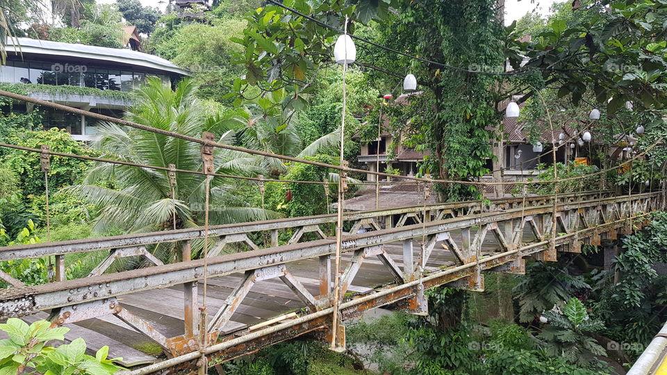 Ubud bridge Bali