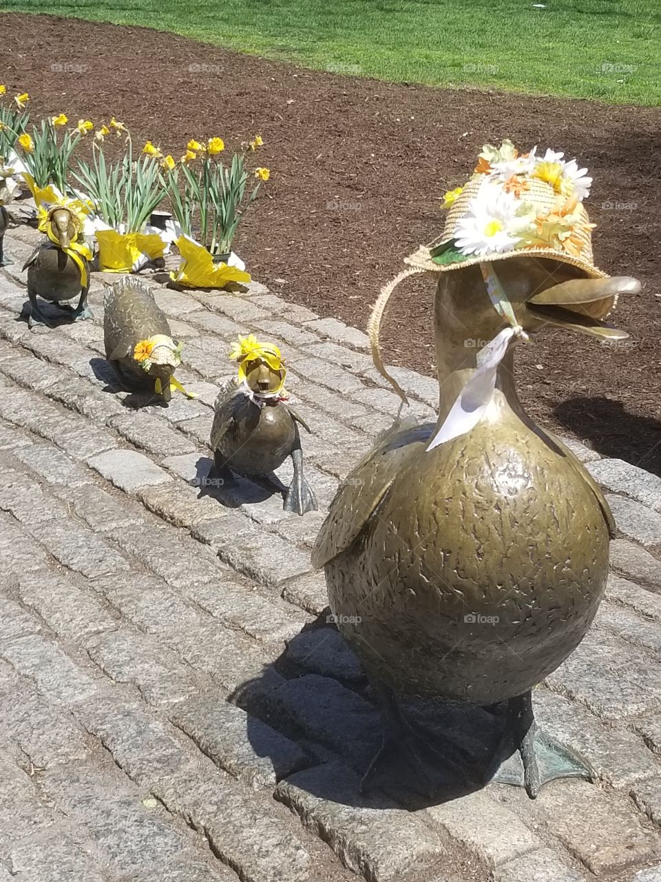 The famous ducks in Boston commons with Easter bonnets