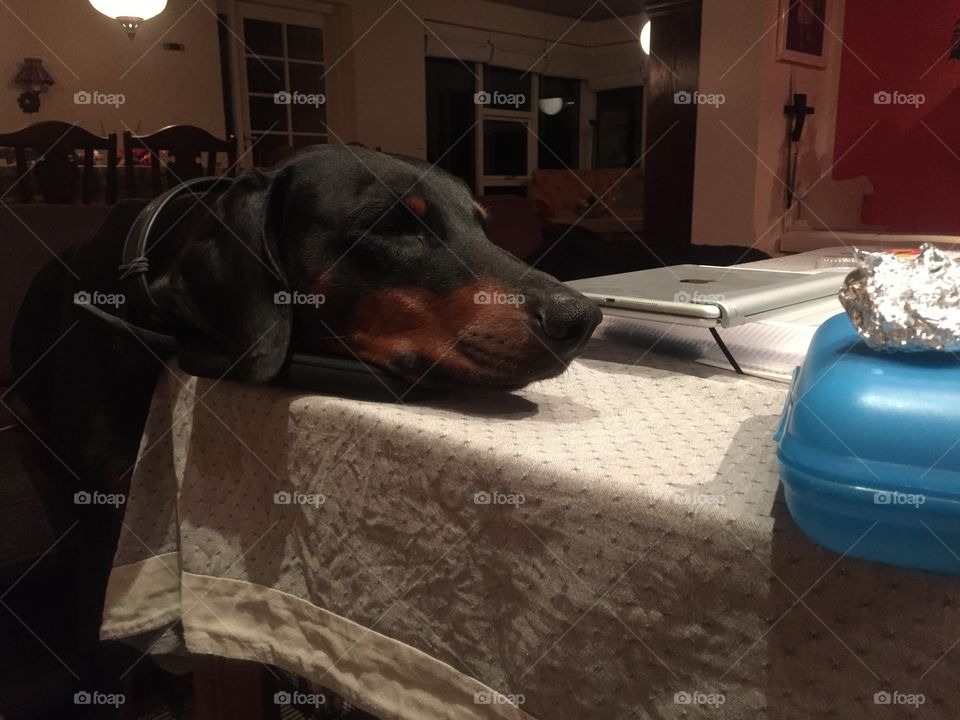 Can I have your lunch?