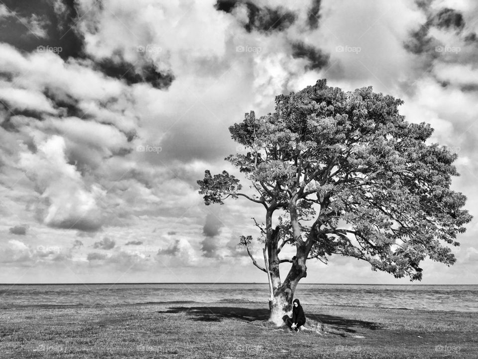 Winter tree