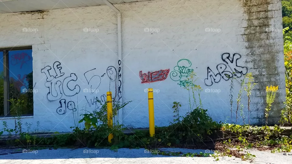 Grafeta