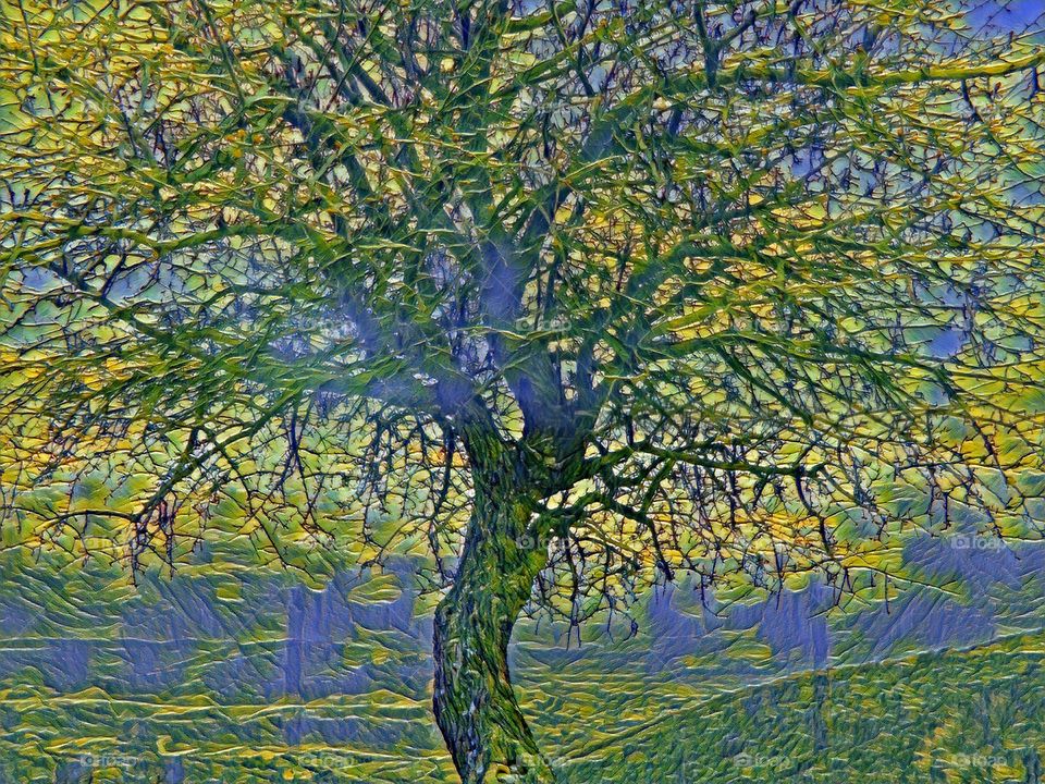 tree 'paint'