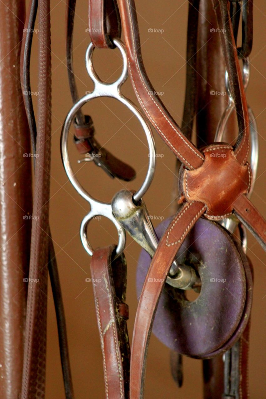 Horse Tack