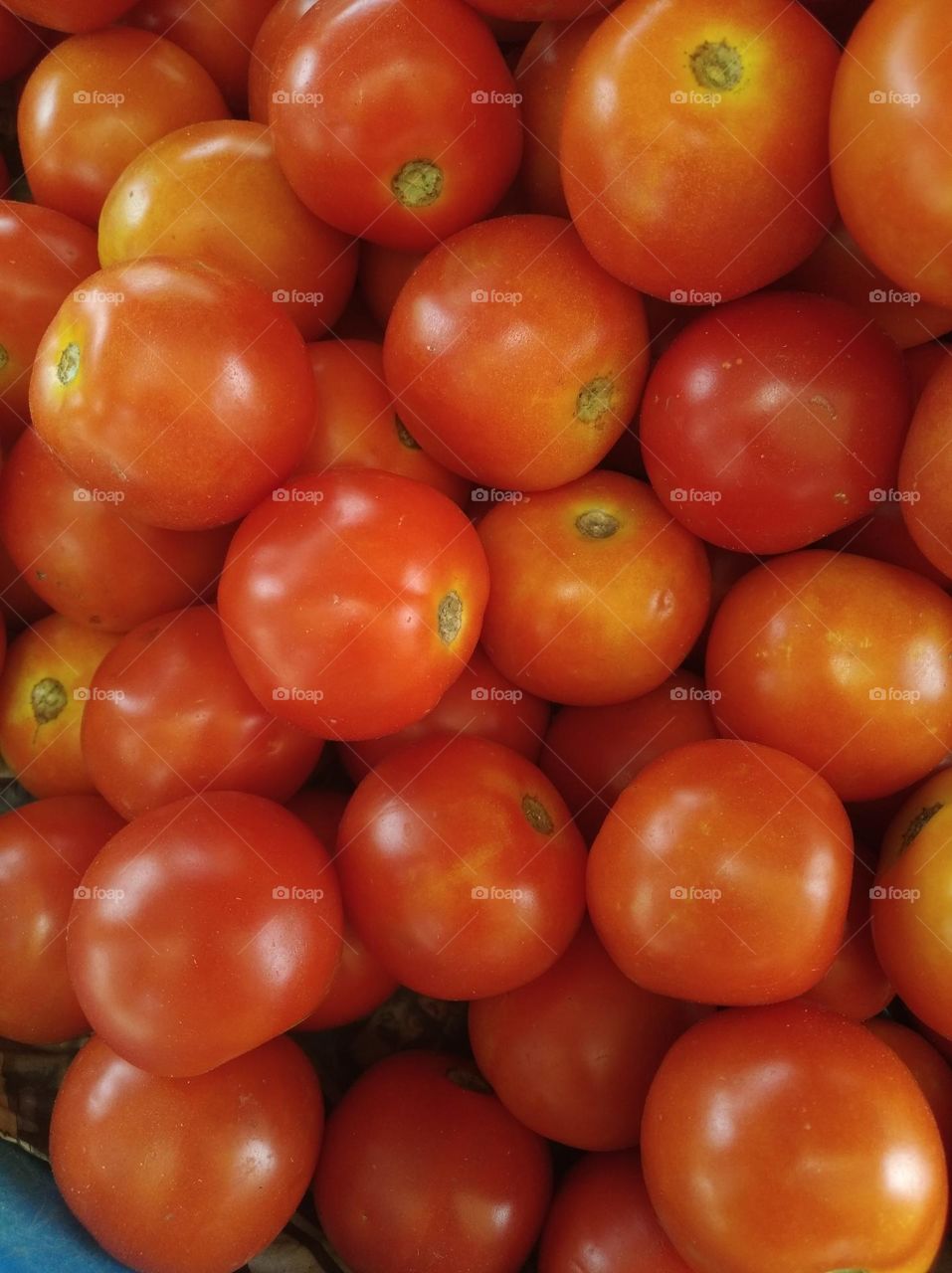 red tomato sauce, round shape, salad and soup, vegetable and found everywhere seasonal
