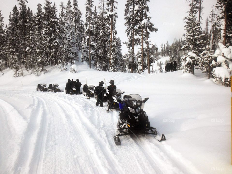 Snow Mobiling