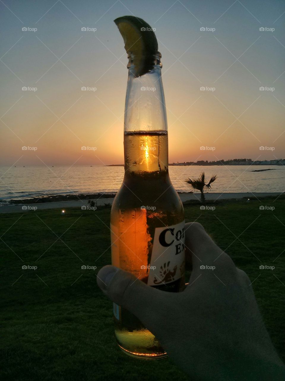Cheers. Relaxing drinking beer and watching sunset