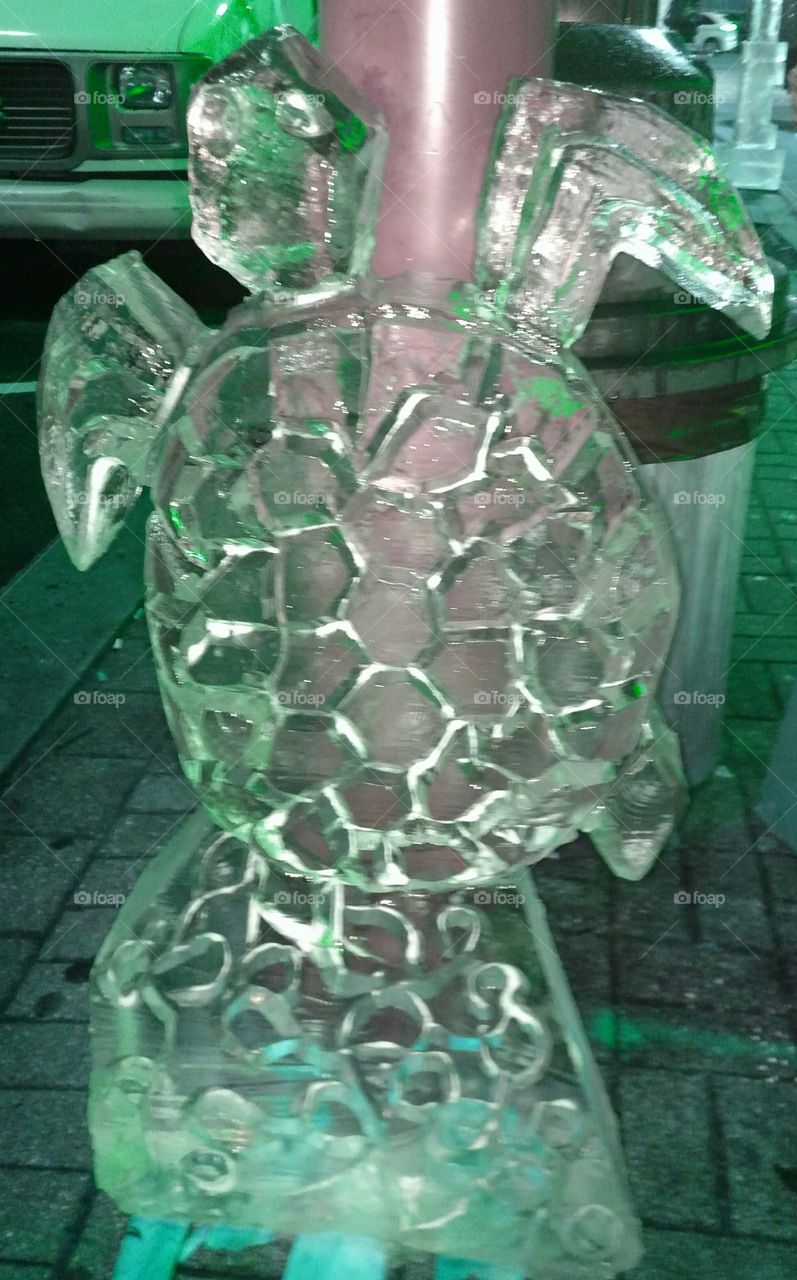 Ice turtle