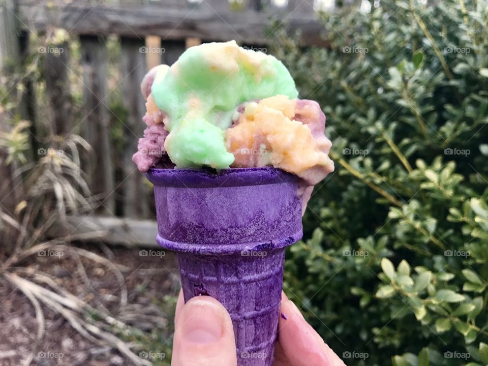 Purple Cone with Sherbet