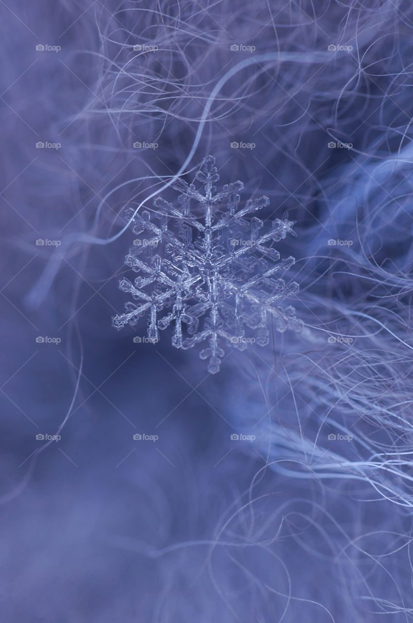 Close-up of natural snowflakes