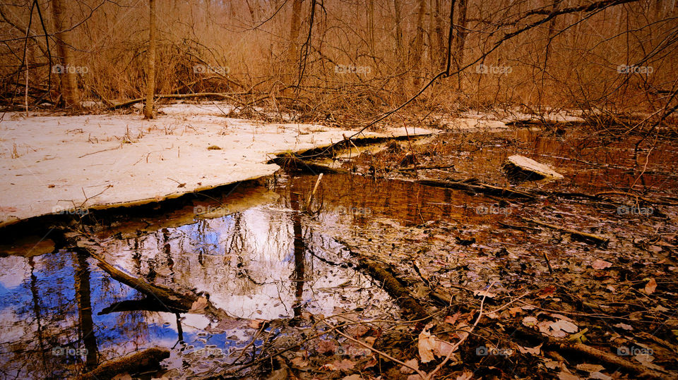 Reflection of sky and cloud in pond
