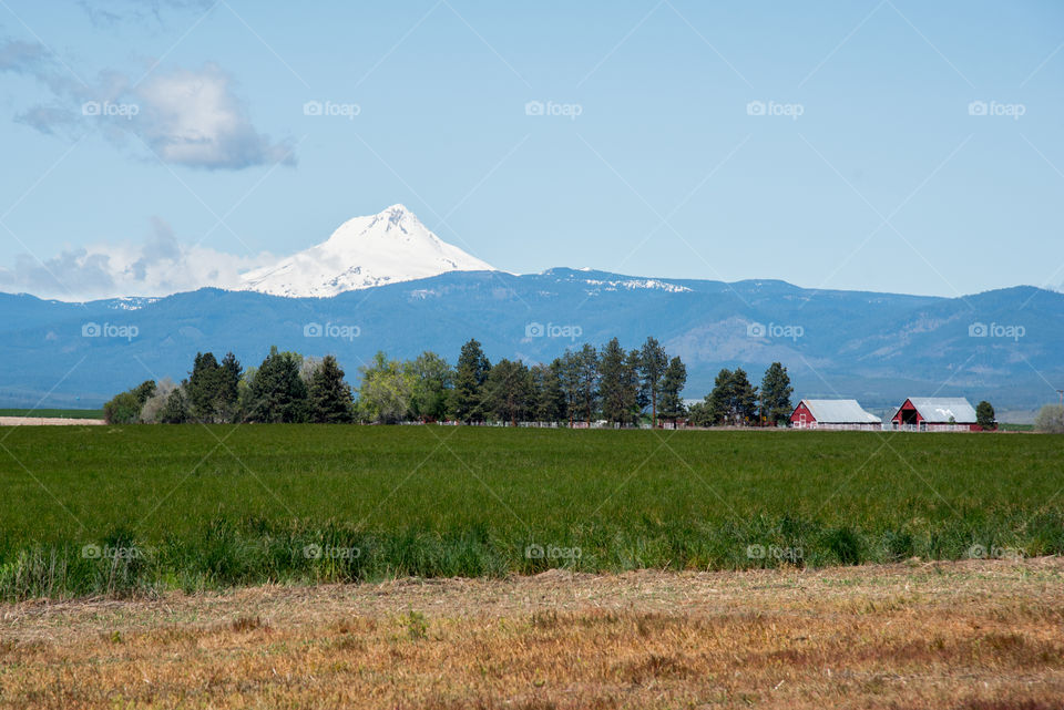 Farm at the foothills of Mt Hood in Oregon