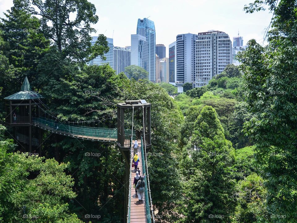 Canapy walk in KL EcoPark