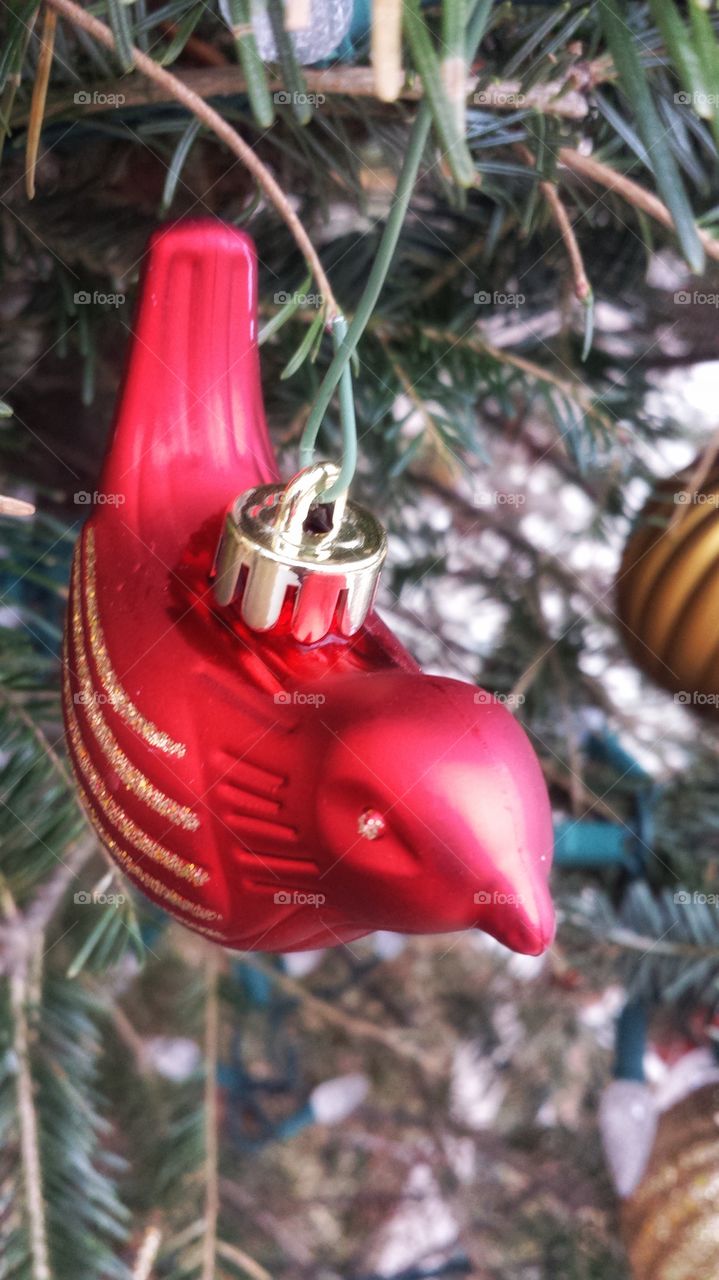 Red Bird Ornament