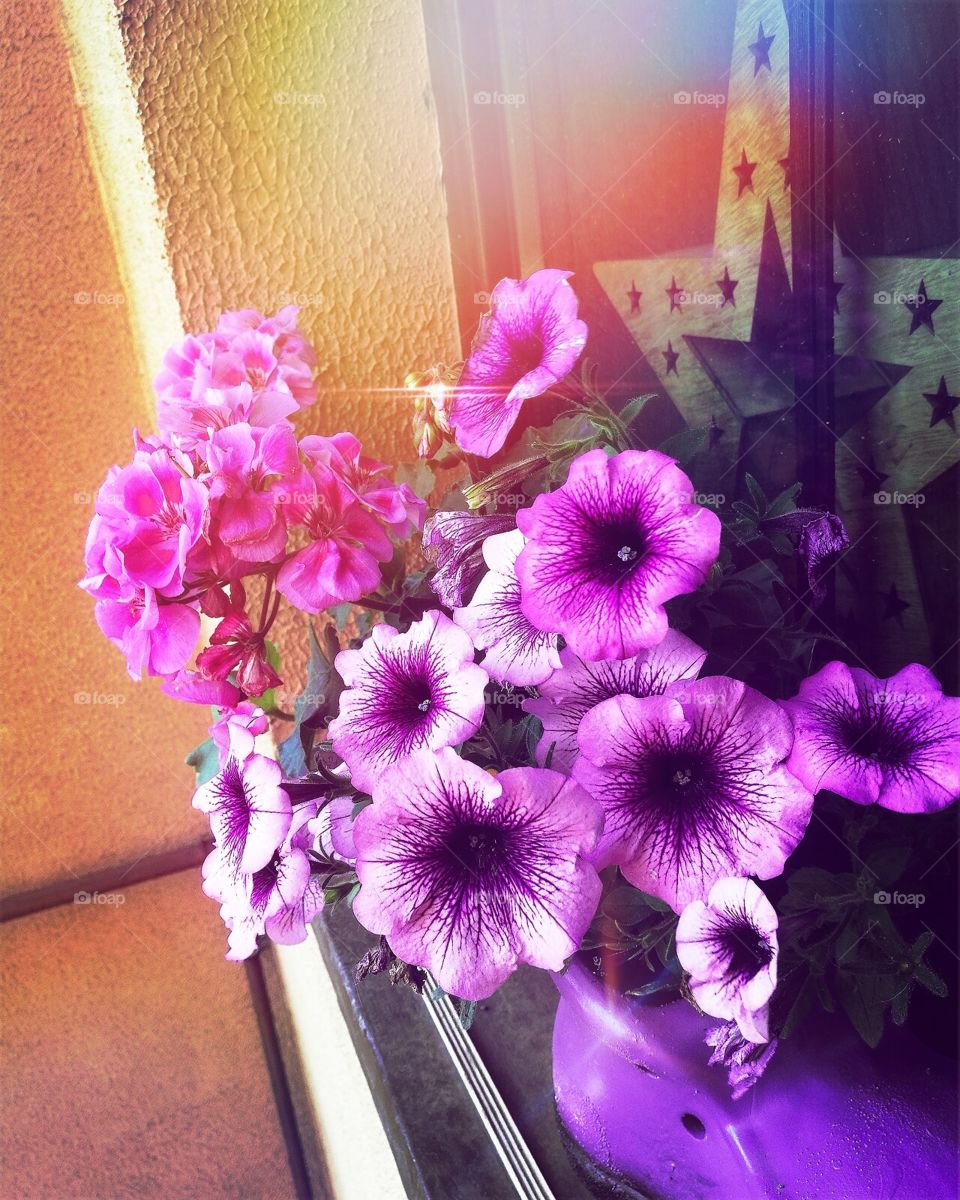 Sunny day, happy flowers