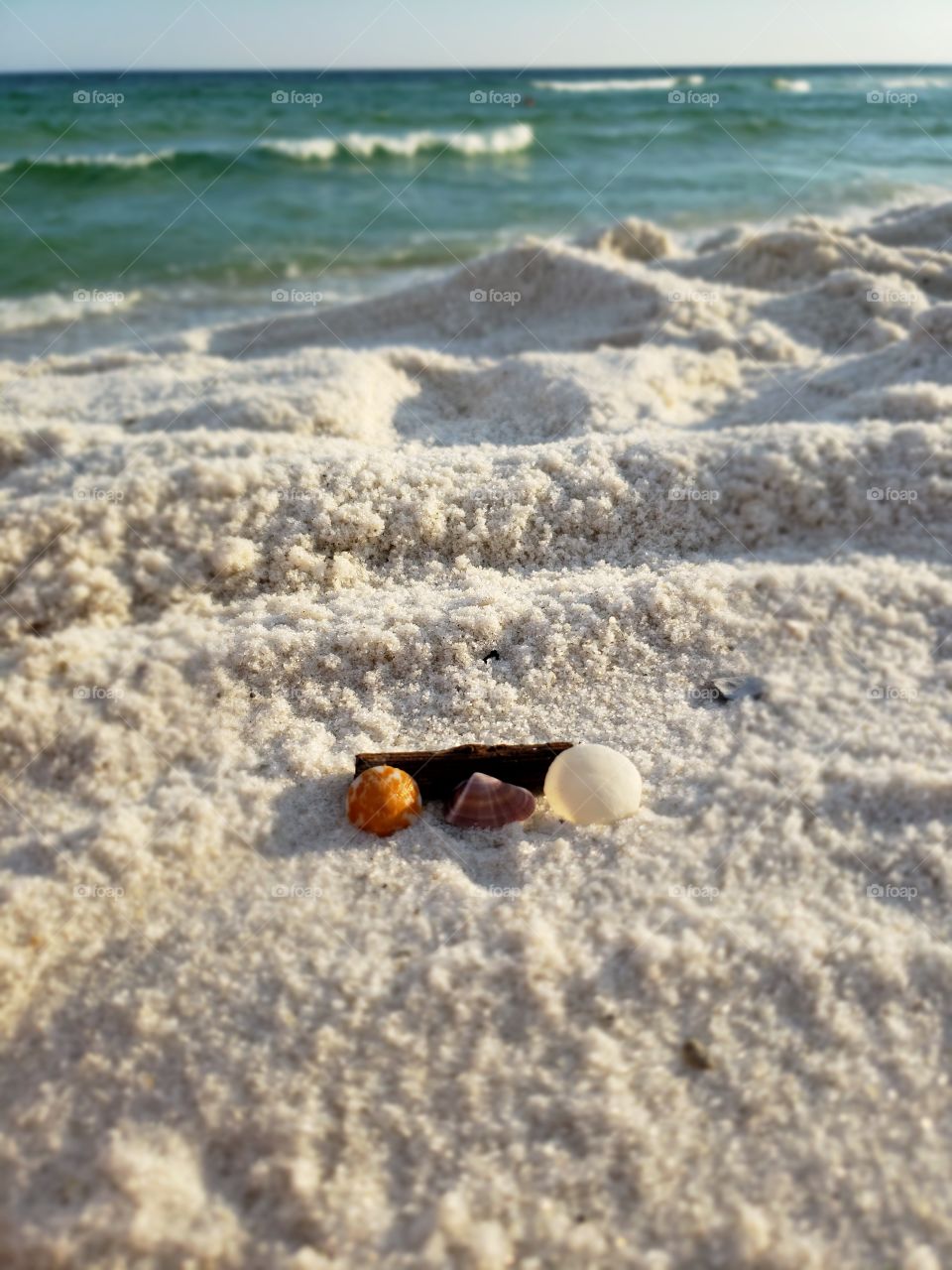 Tiny Sea Shells