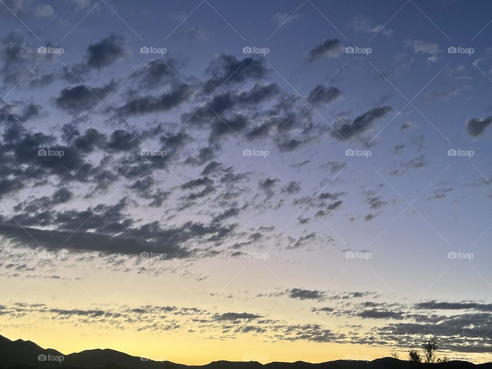 A yellow sunset with clouds, mountains and a tree in the corner.