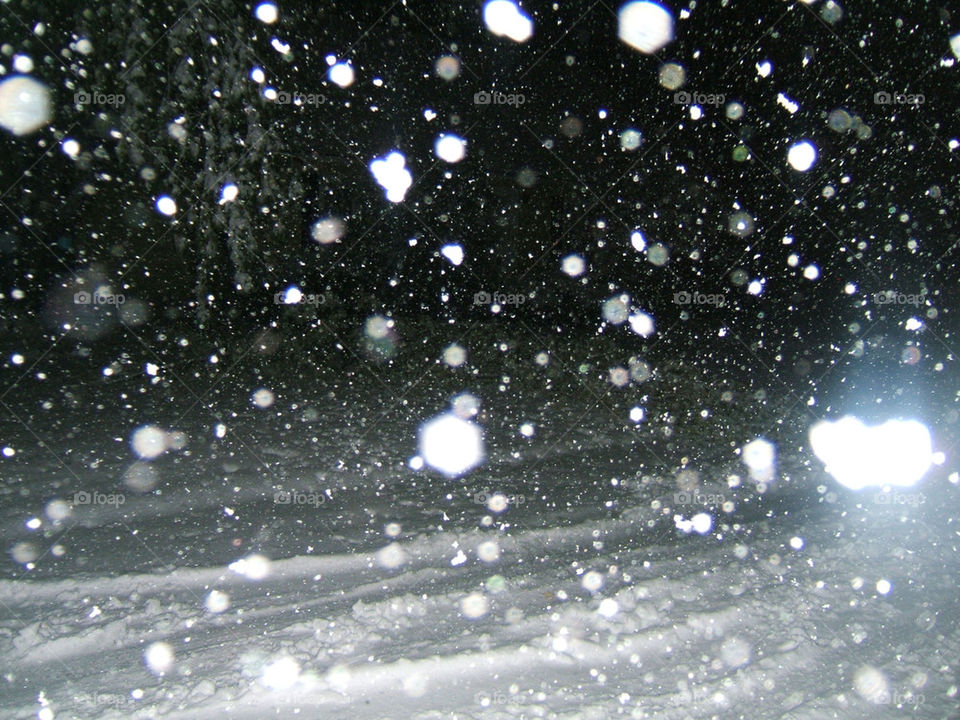 illuminated snowfall