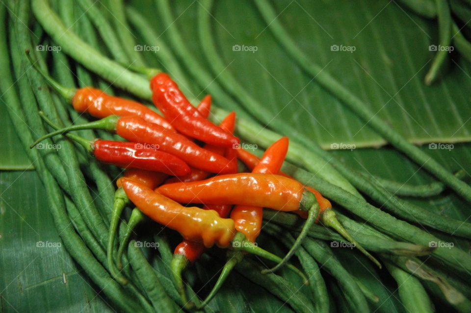 close up red chili