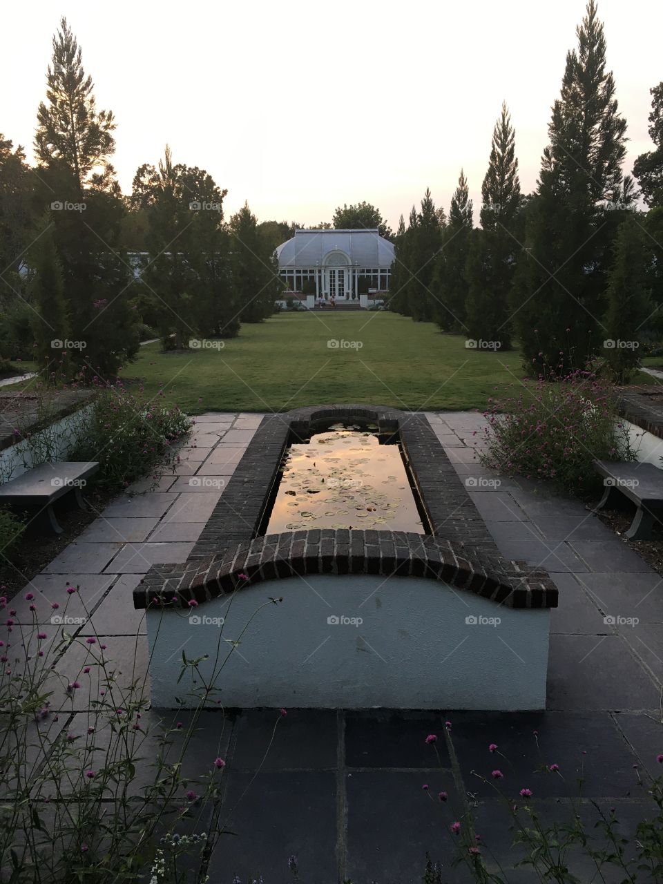 A peaceful evening scene. 