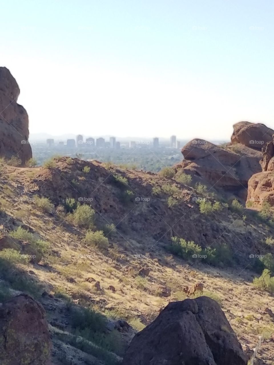 Phoenix beyond the rocks
