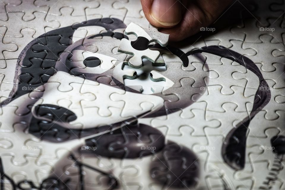 Complete the puzzle with shadows