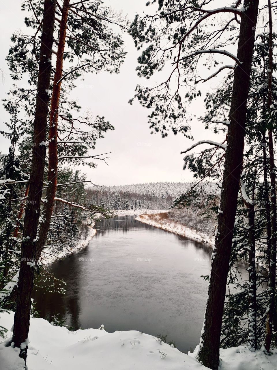 My favorite place when there is snow