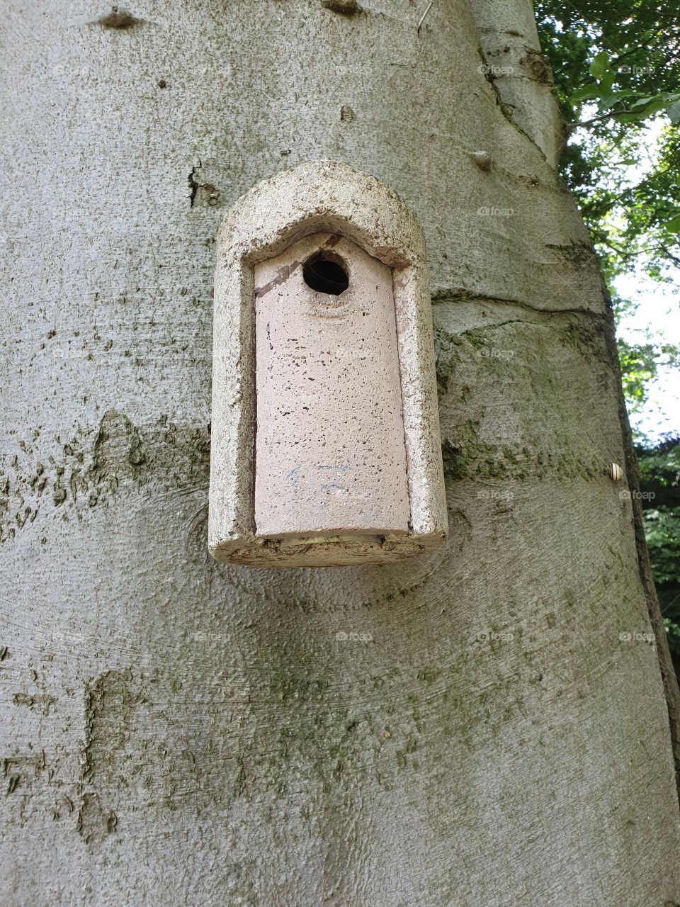 Botanischer Garten Frankfurt