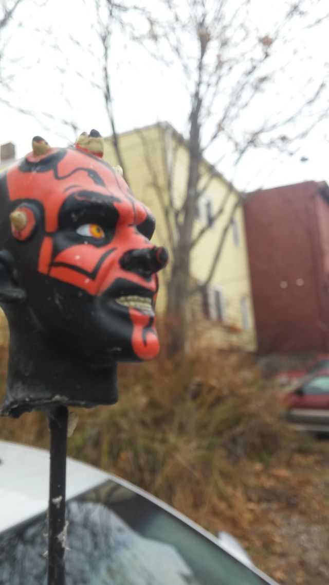 toy head