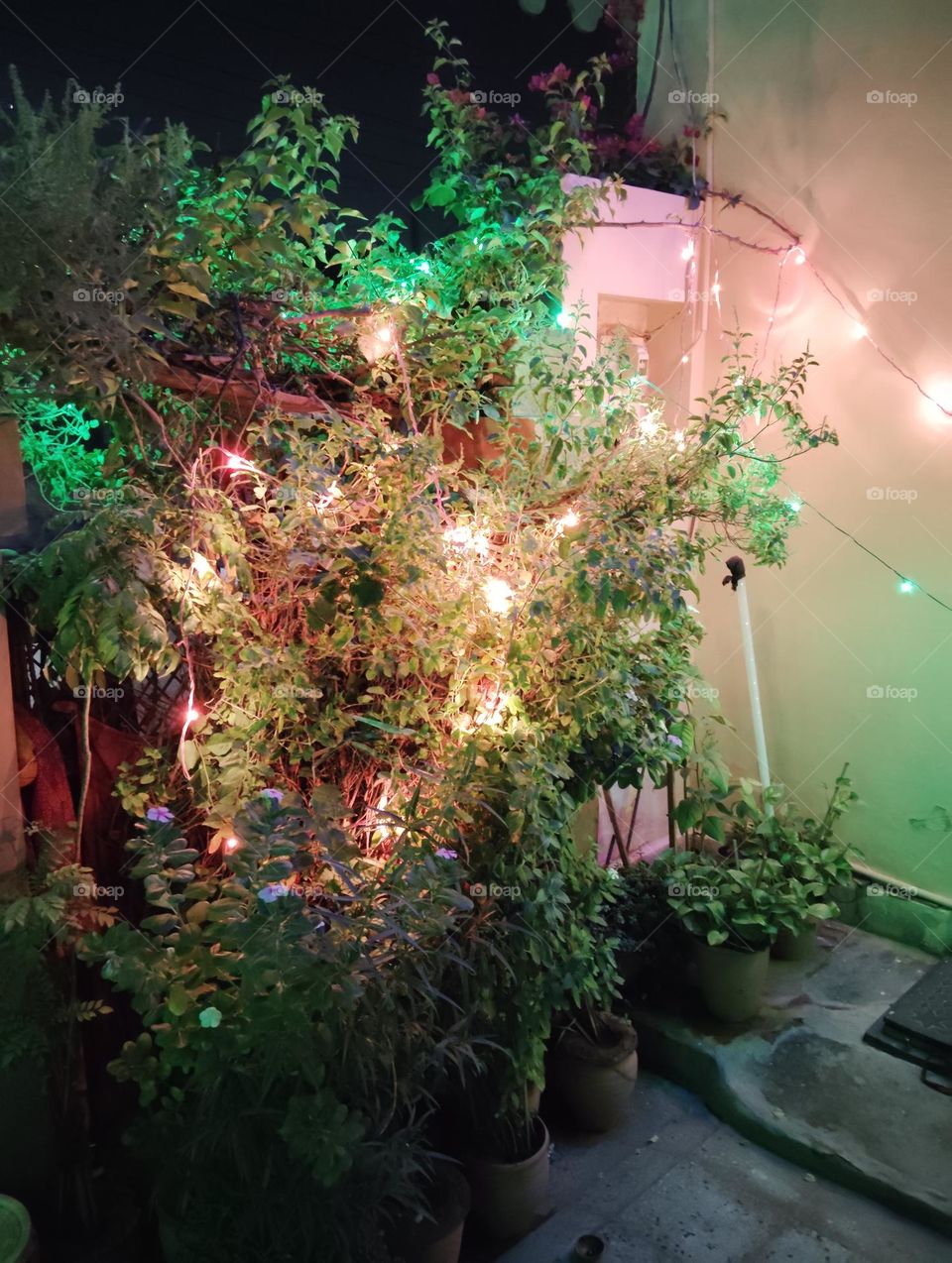 Diwali celebration with crackers and sweet, night scene, fire cracker at night, lighting on green plant shurb looks very beautiful