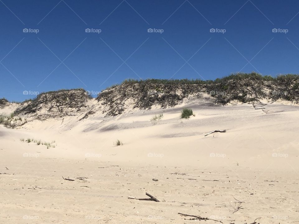 Amagansett dunes